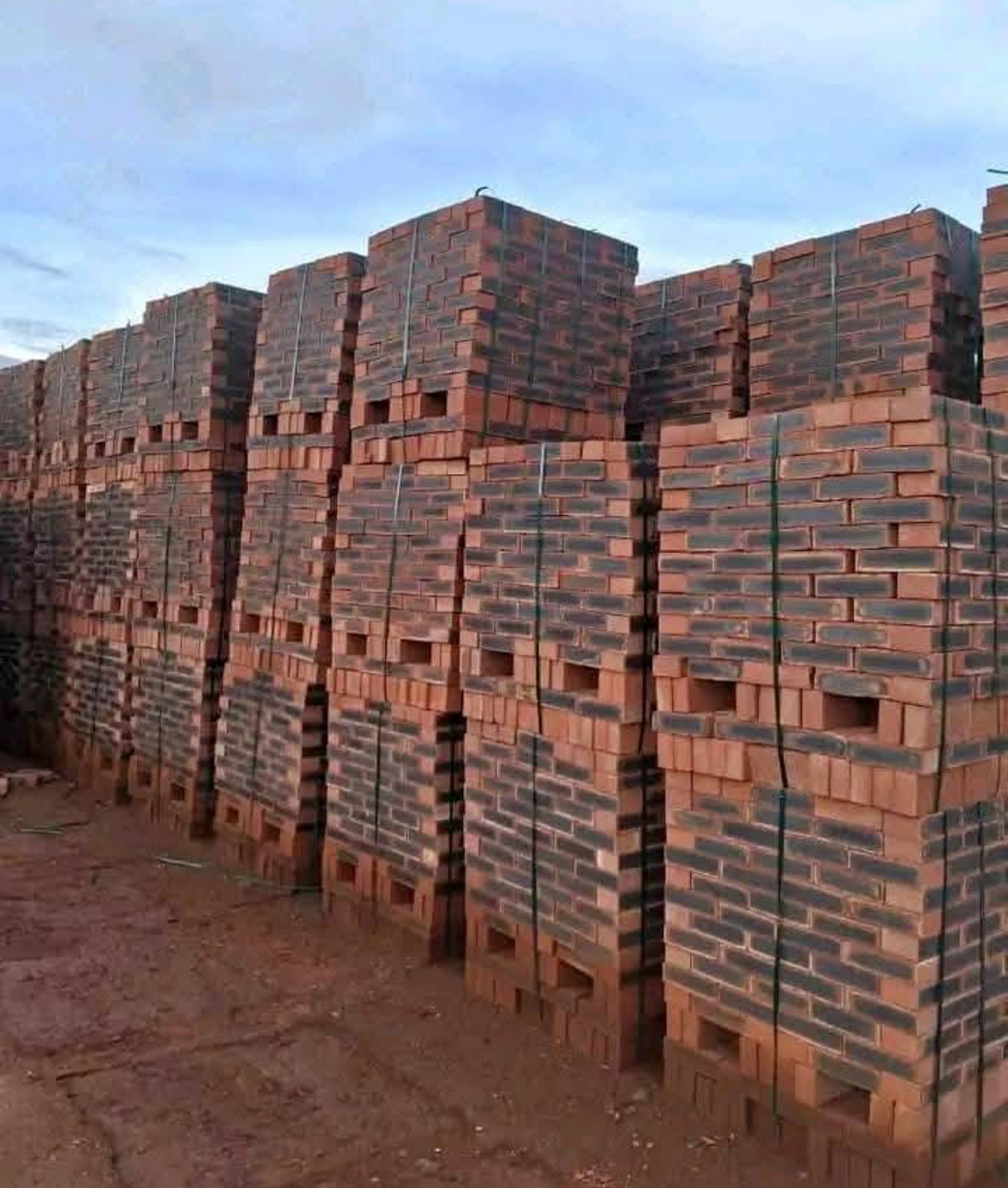 Bricks